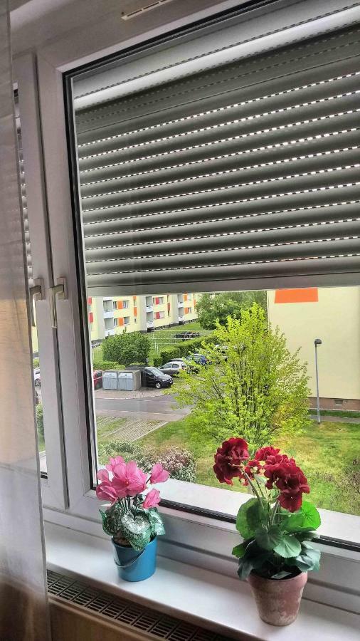 Komfort Ferienwohnungen Zwenkauer See Kültér fotó
